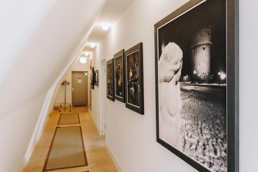 Dream Stay - Art Gallery Family Apartment With 2 Bathrooms Tallinn Exteriér fotografie