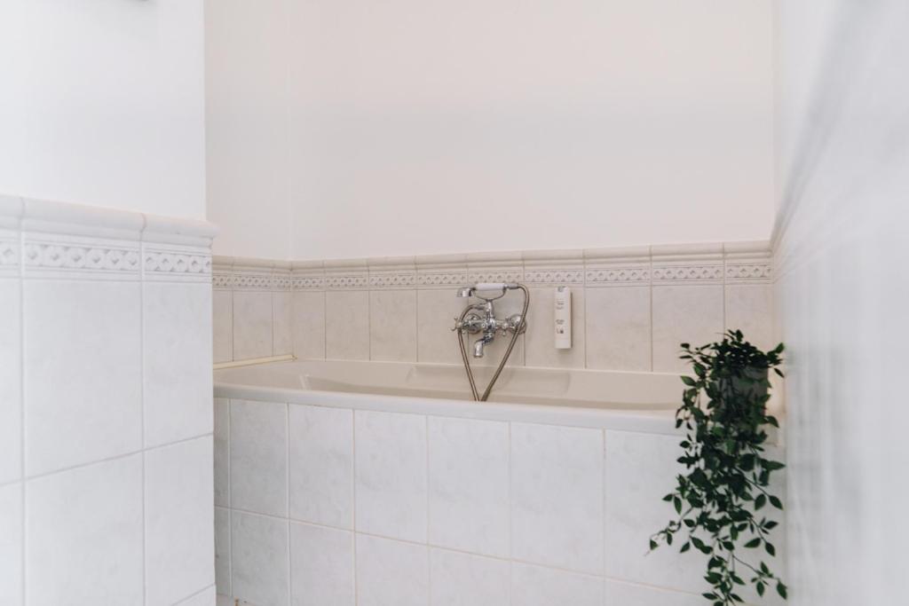 Dream Stay - Art Gallery Family Apartment With 2 Bathrooms Tallinn Exteriér fotografie